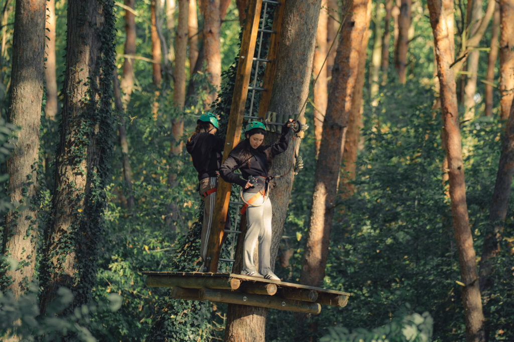 People participating in an outdoor team-building activity or rope course among tall pine trees.